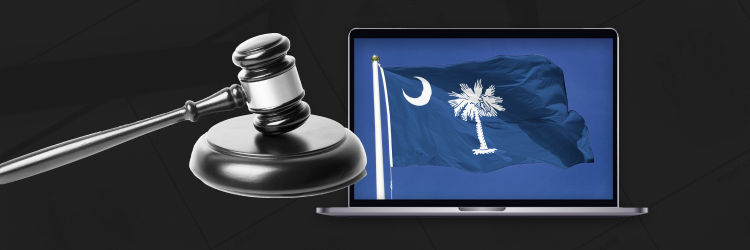 Background Check in South Carolina