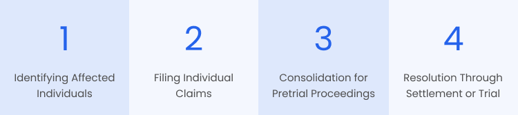 Mass Tort Process