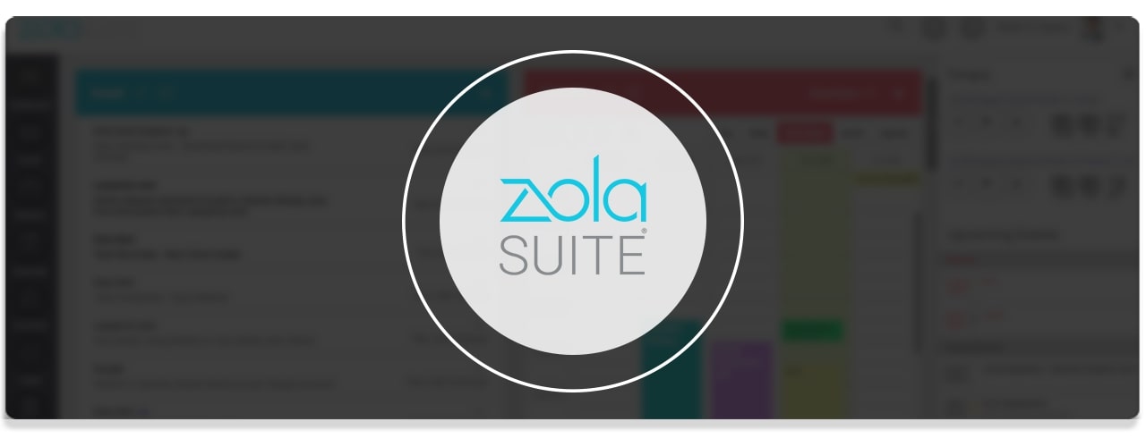 zola suit